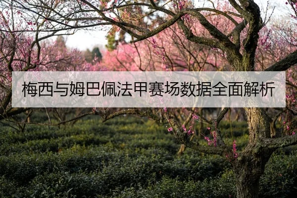 梅西与姆巴佩法甲赛场数据全面解析